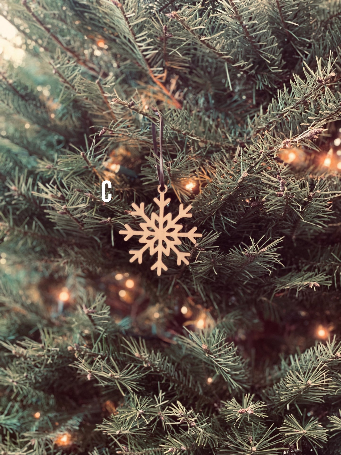 Snowflake Ornament