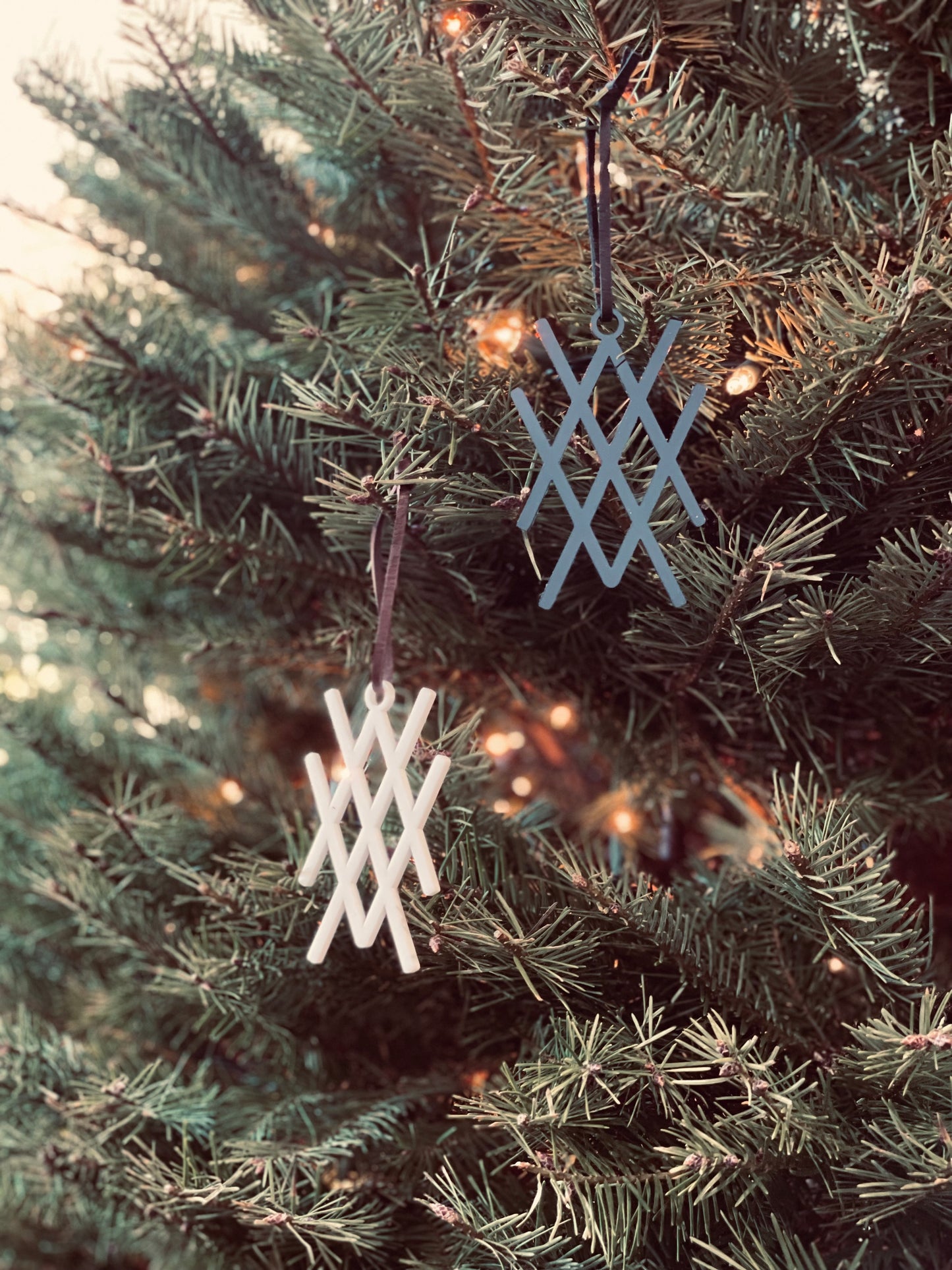 VV Acrylic Ornament